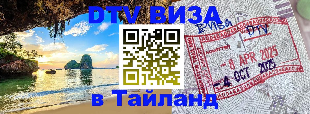 Сколько стоит DTV виза — актуальные цены, оформление даже без документов - 07.12.2025 